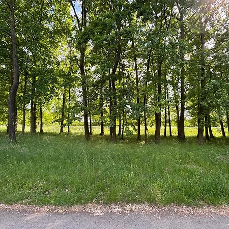 Faház - A Tiszánál Casa de Férias Tiszacsege